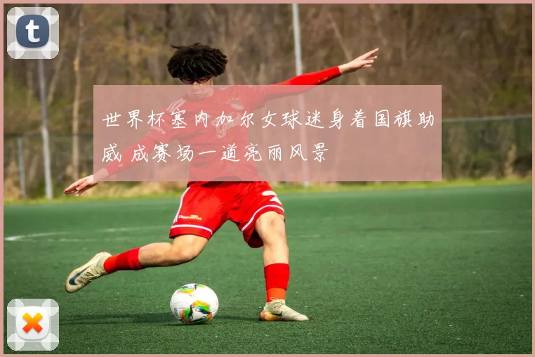 世界杯塞内加尔女球迷身着国旗助威 成赛场一道亮丽风景
