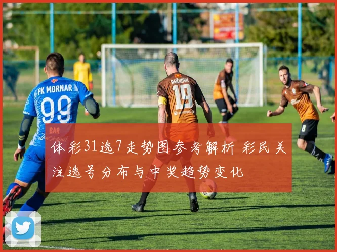 体彩31选7走势图参考解析 彩民关注选号分布与中奖趋势变化