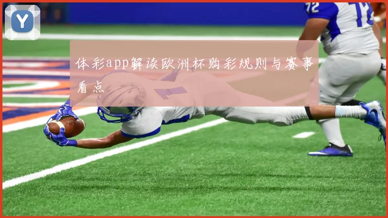 体彩app解读欧洲杯购彩规则与赛事看点
